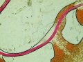 C20160929_133354323