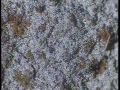 20131030_124441_8