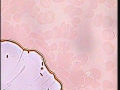 116