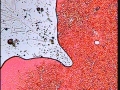 126