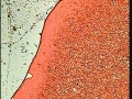 127