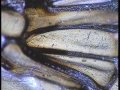 20131031_230524_39