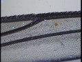 20131031_230806_50