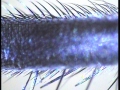 20131031_230954_53