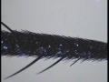 20131031_231128_59