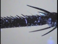 20131031_231136_60