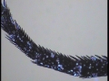 20131031_231140_61