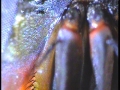 20131031_232123_1