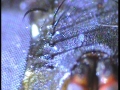 20131031_232131_2