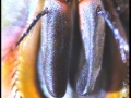 20131031_232711_4