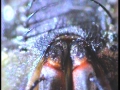 20131031_232722_5