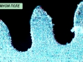C20151009_105219117_