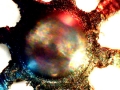 C20151009_110400793