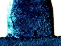 C20151009_111837259