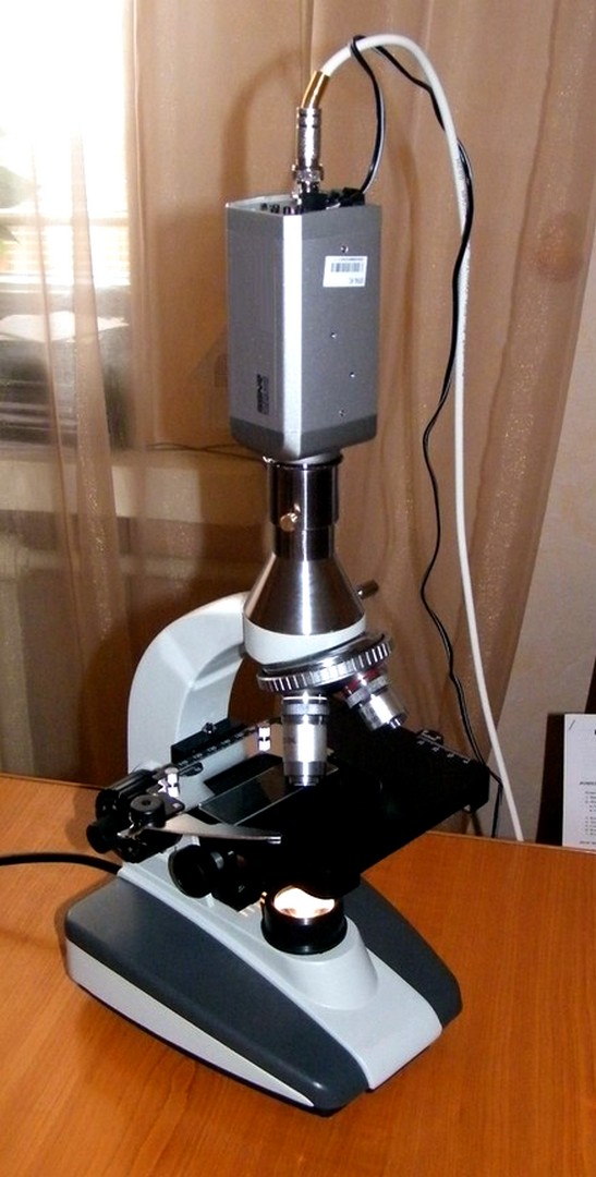 цифровой микроскоп, видео микроскоп
