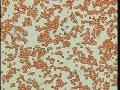 123