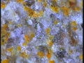 20131029_190939_0