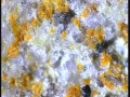 20131029_234457_0