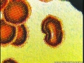 104