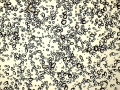 C20160411_142314525