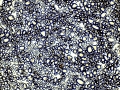 C20160411_142352389
