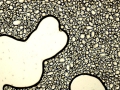 C20160411_142538831