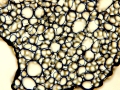 C20160411_142844519
