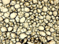 C20160411_142921134