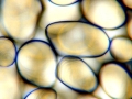 C20160411_143011956