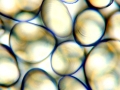 C20160411_143117680