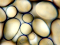 C20160411_143203998