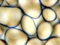 C20160411_143212213